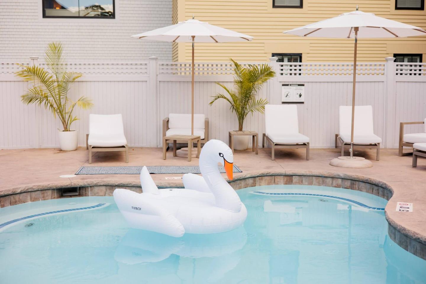 An inflatable swan in a pool