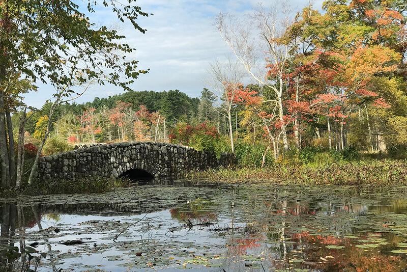 Ipswich Wildlife Sanctuary