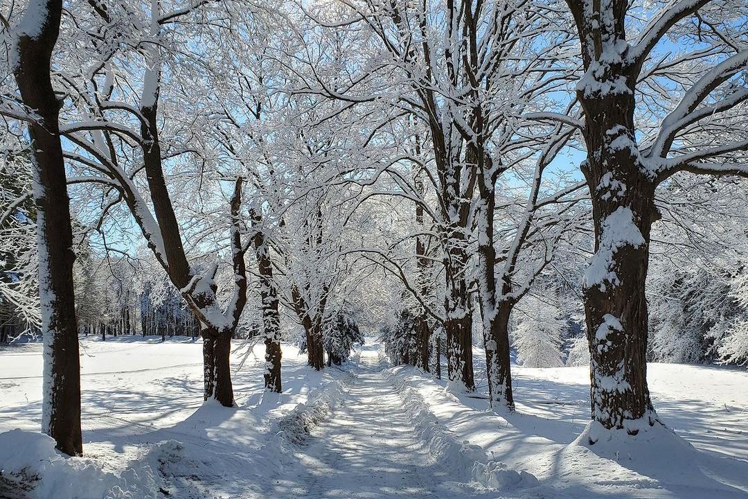 Appleton Farms snowy walking path
