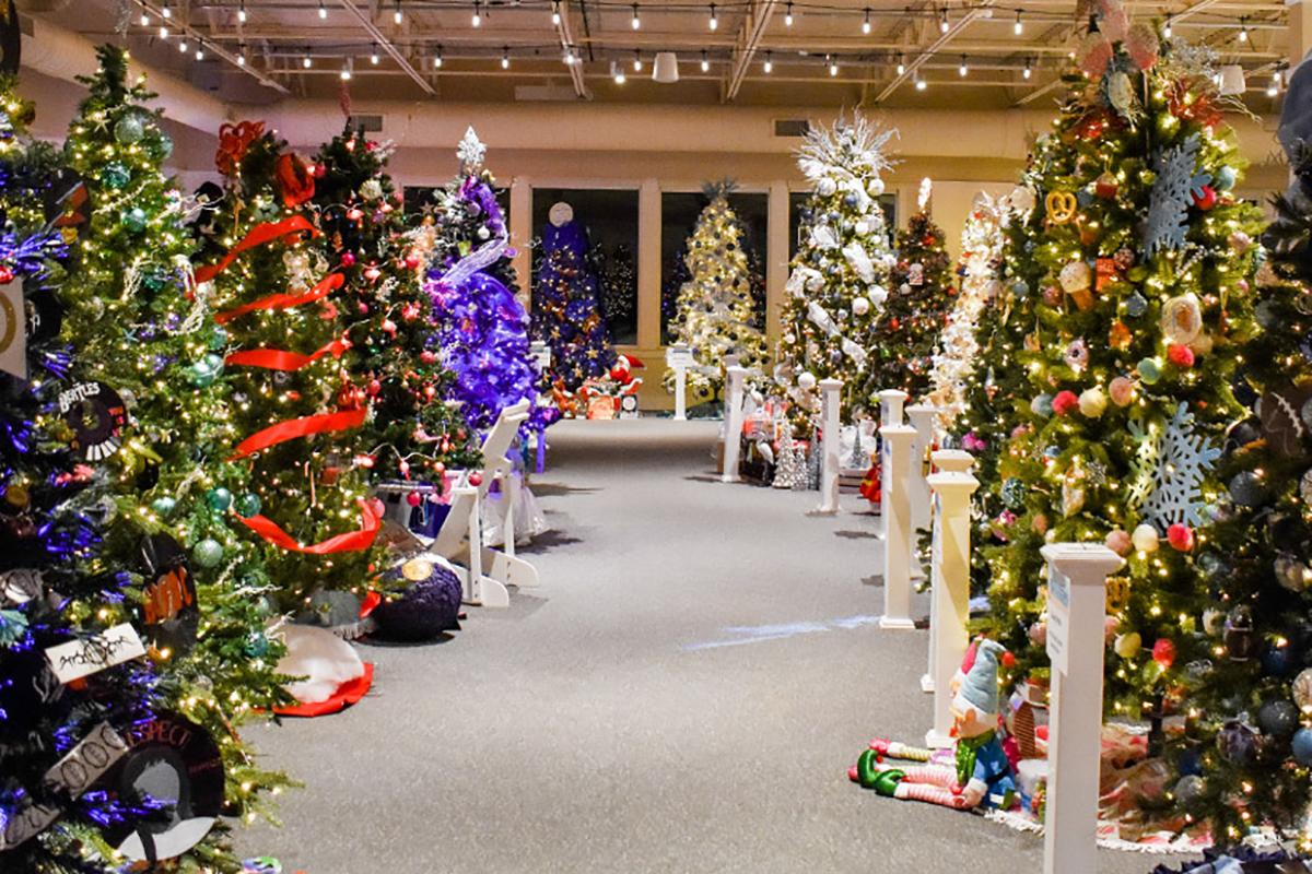 sea festival of tree