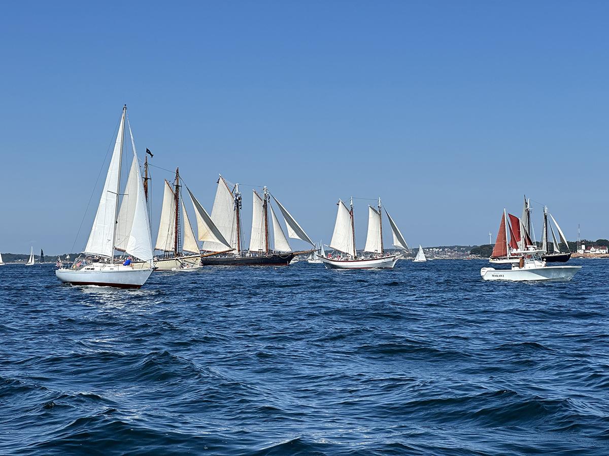 Sailboats with white sails on a blue sea under a clear sky.