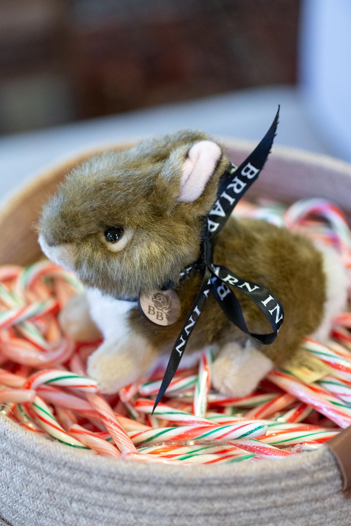 Plush rabbit with a ribbon, sitting in a basket of candy canes.