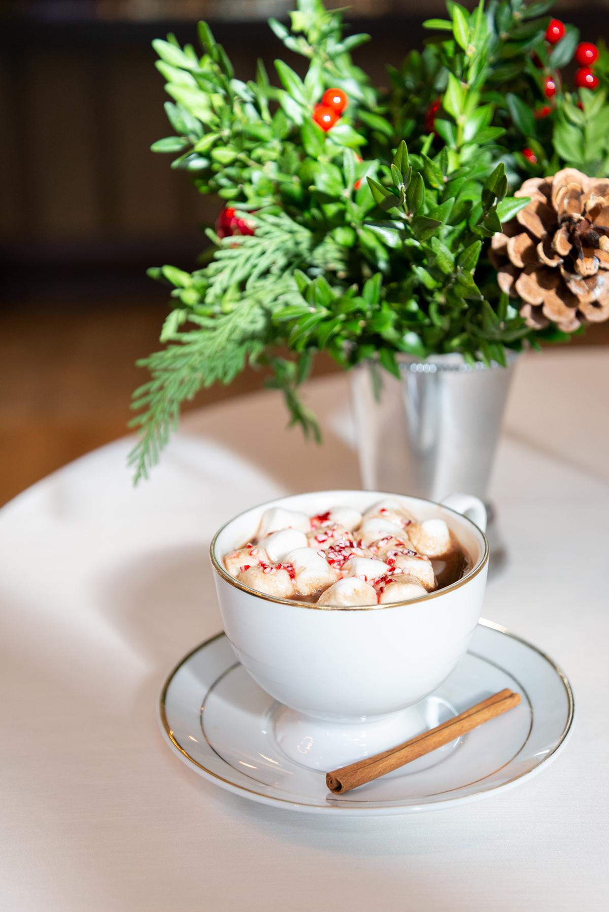 Cup of hot chocolate with marshmallows, cinnamon stick; festive greenery in background.