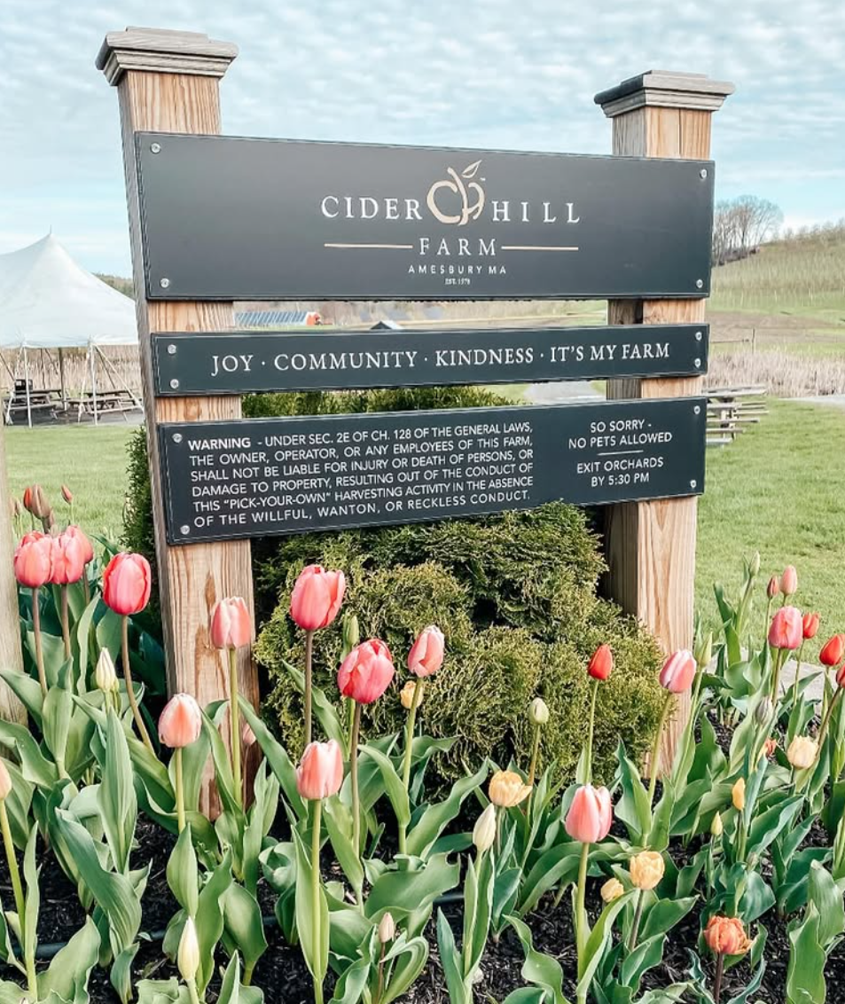 Farm sign surrounded by blooming tulips and grassy field.
