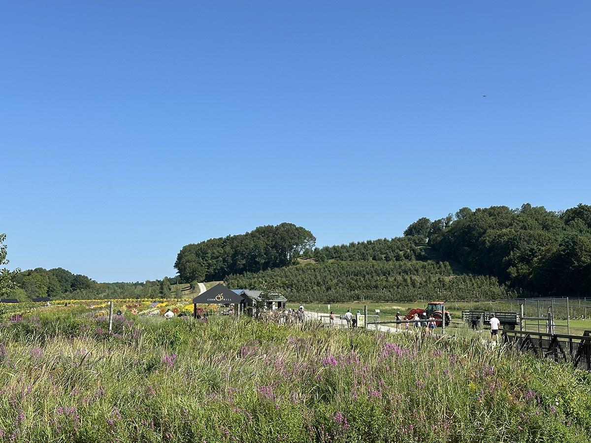 Countryside landscape with fields, trees, and clear blue sky.
