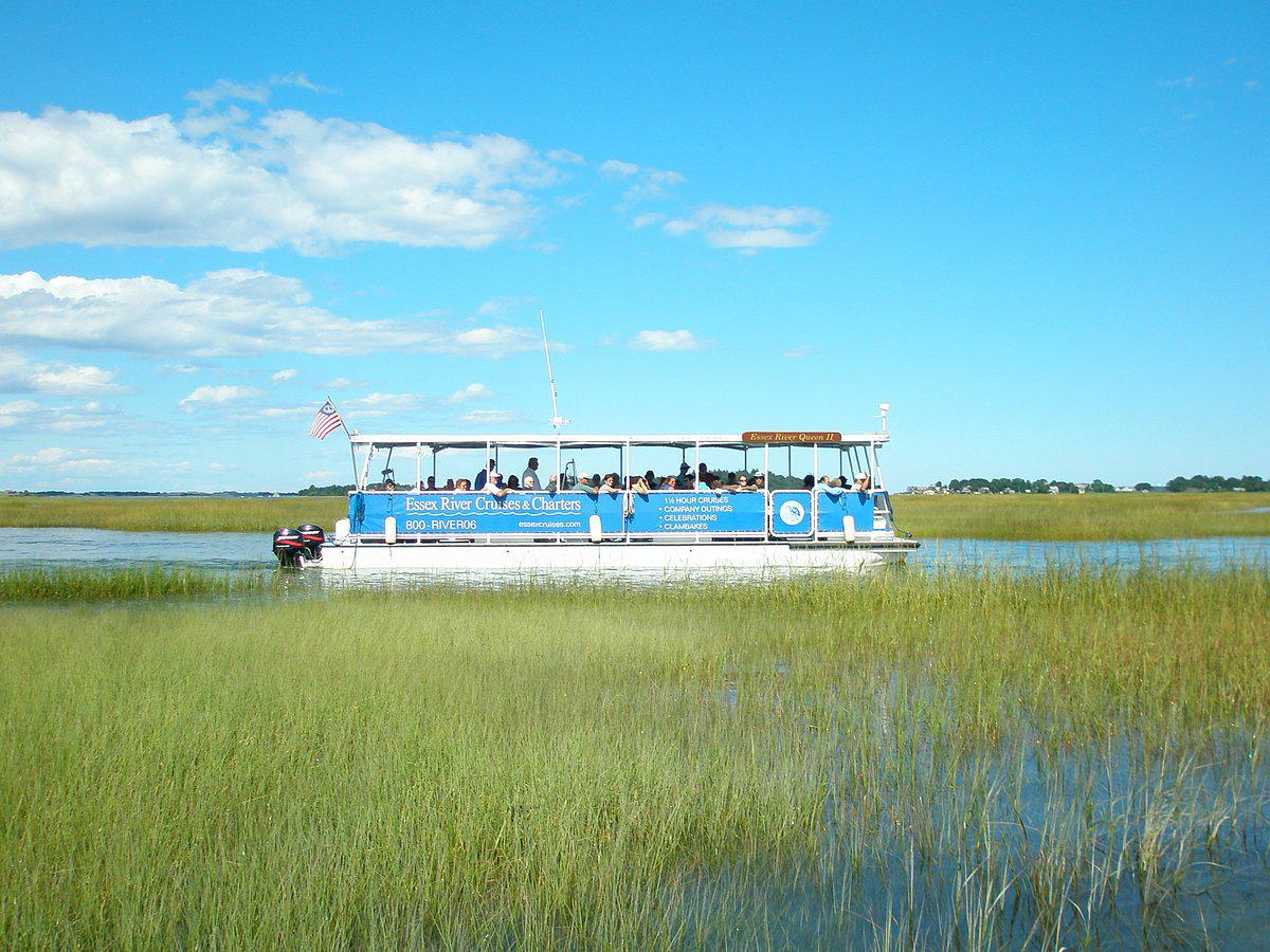Boat on water with people aboard, surrounded by marshland under a blue sky.