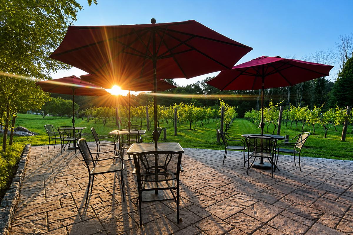Patio with tables and red umbrellas at sunset, overlooking a green vineyard.